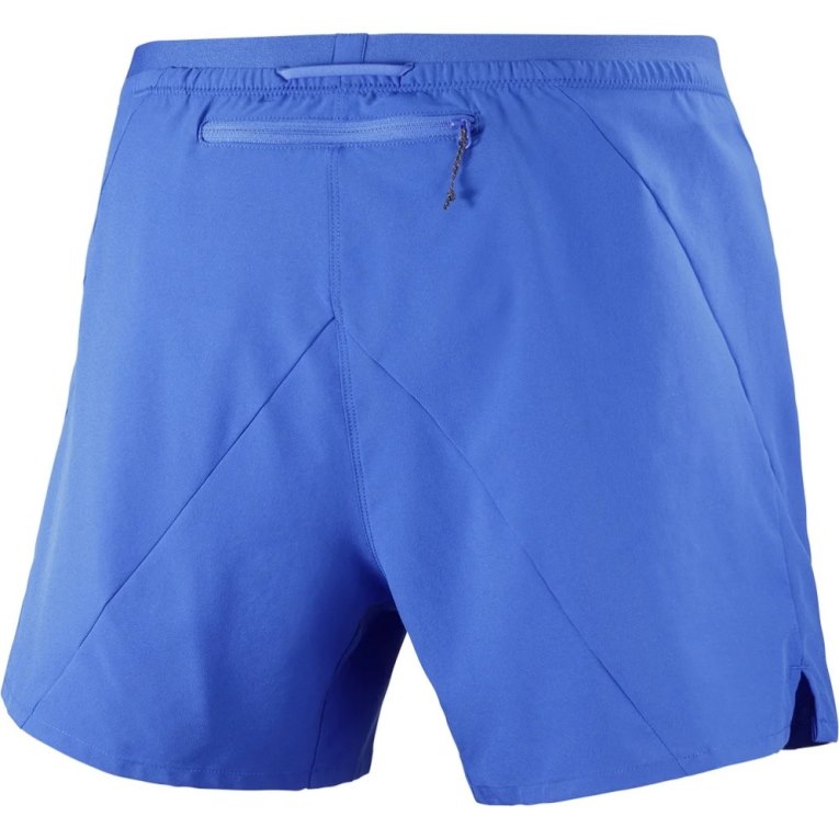 Blue Salomon Cross 5'' Men's Shorts | PH 14027Y